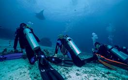 How Do You Breathe While Scuba Diving? - La Galigo Liveaboard