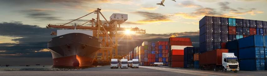 Adaptive Transportation and Logistics